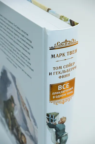 Том Сойер и Гекльберри Финн. Все приключения в одном томе - фото 15