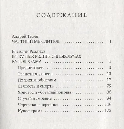 В темных религиозных лучах. Купол храма - фото 2