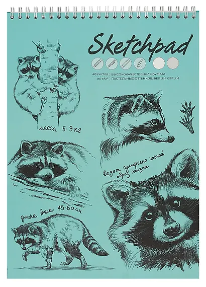 Скетчбук А4 40л "Енот-полоскун" белый офсет, 80г/м2, тв.обложка, спираль - фото 1