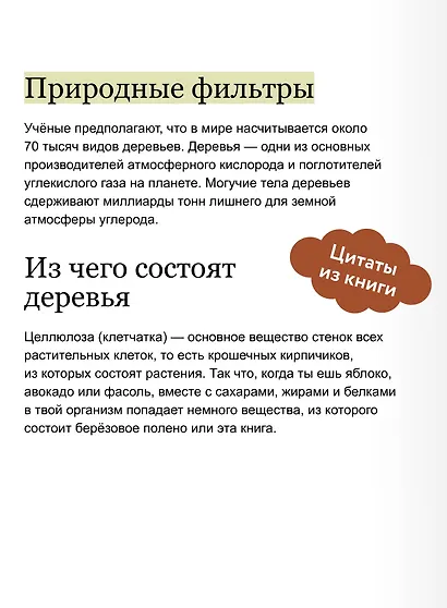 Деревья. Атлас-определитель - фото 7