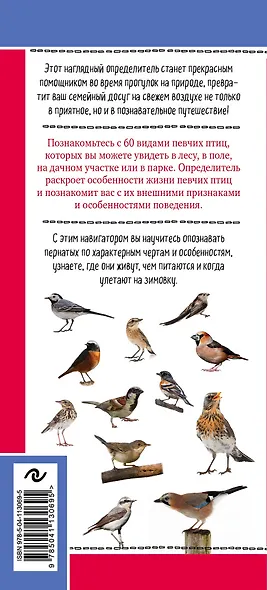 Певчие птицы. Обитатели лесов и полей. Наглядный карманный определитель - фото 2