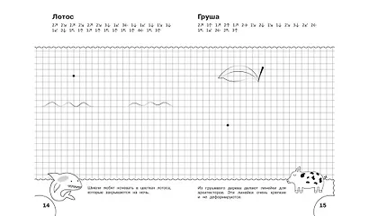 ПДШ  Графические диктанты. Растения и грибы. Развивающие задания. - фото 6