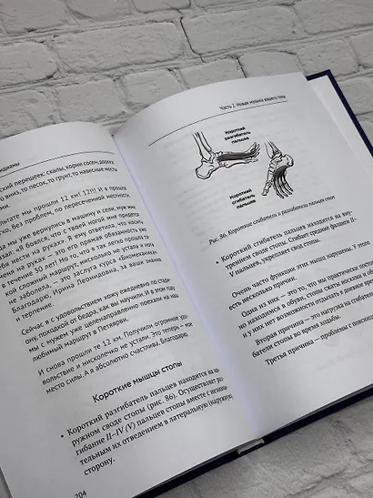 Анатомические меридианы. Почему лечить нужно печень, если болят плечи, как избавиться от боли в суставах и позвоночнике за несколько минут и найти ее истинную причину - фото 11