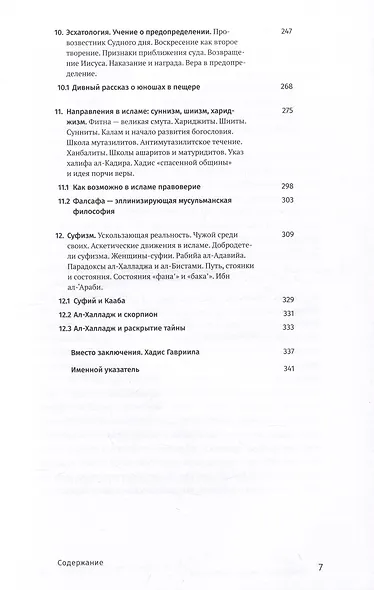 Введение в ислам: 12 лекций для проекта Магистерия - фото 4