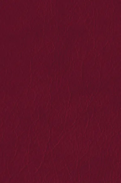 Гордость и предубеждение. Доводы рассудка - фото 2