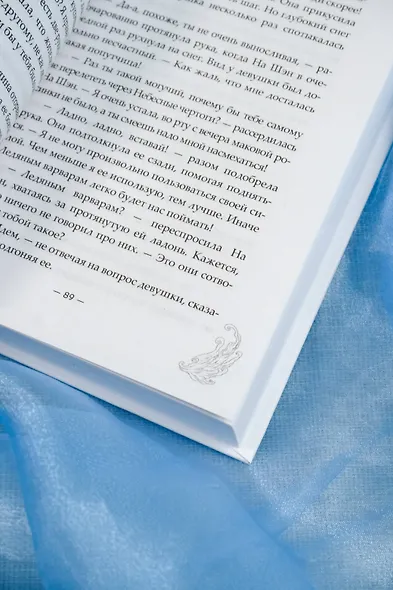 Зеркальные города-близнецы. Книга 1 - фото 11