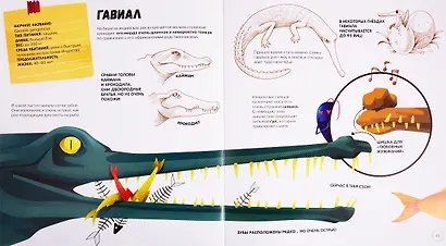 Самые странные животные - фото 5