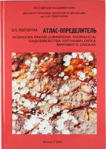 Атлас-определитель усоногих раков (Cirripedia Thoracica) надсемейства Chthaloidea Мирового океана - фото 1