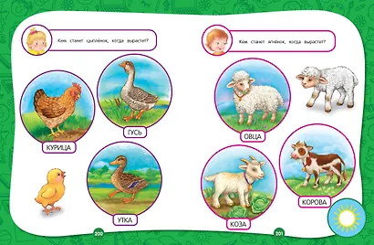 Полный годовой курс занятий: для детей 3-4 лет - фото 10