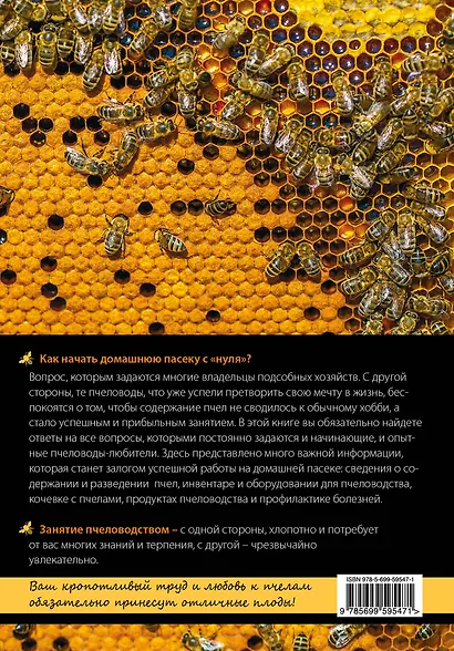 Пчеловодство: первые шаги к прибыльному хозяйству - фото 2