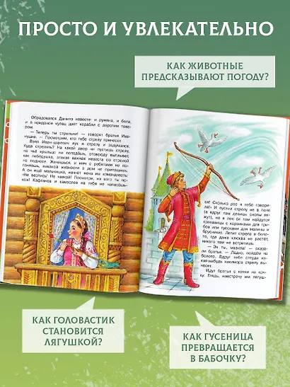 Царевна-лягушка - фото 5