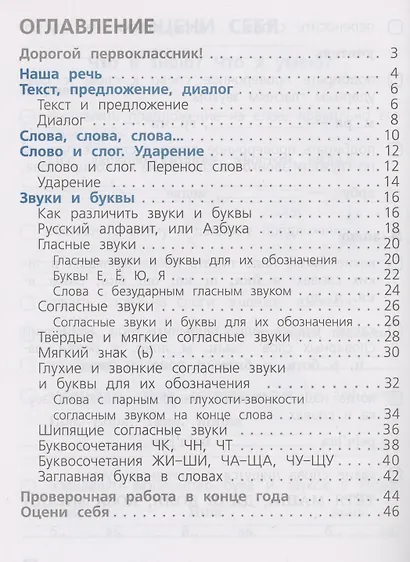 Русский язык. Проверочные работы. 1 класс - фото 2
