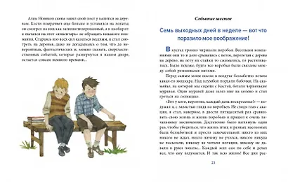 Баранкин, будь человеком! - фото 6