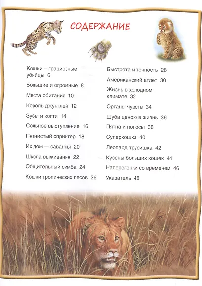 Большие кошки - фото 2