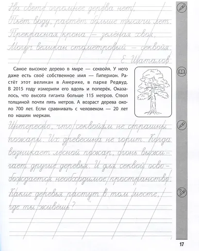 Тренажёр по чтению и письму: 1 класс: рекорды, рекорды, рекорды! - фото 5