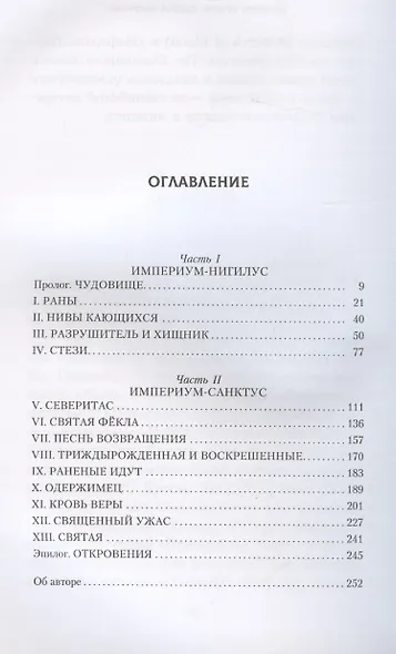 Эфраэль Штерн. Святая еретичка - фото 3