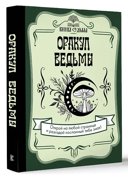 Оракул ведьмы - фото 3