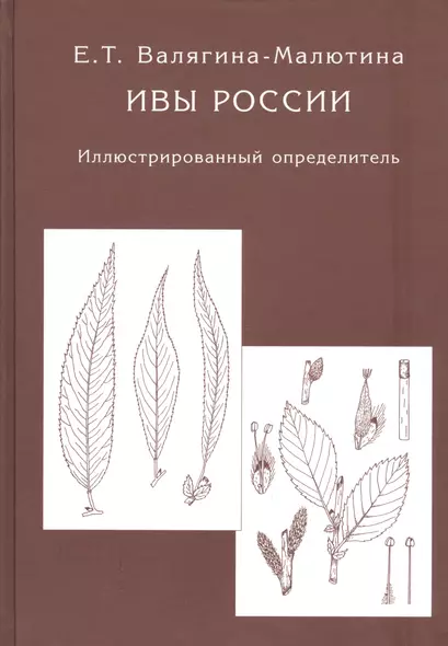 Ивы России. Иллюстрированный определитель - фото 1