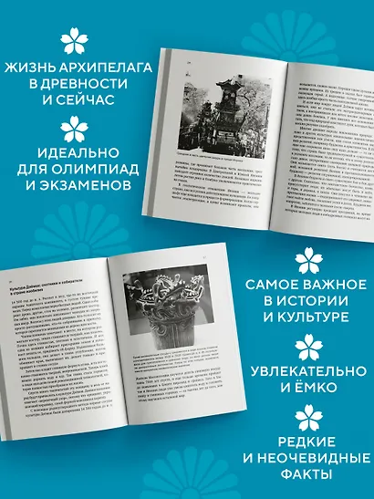 Краткая история Японии - фото 4