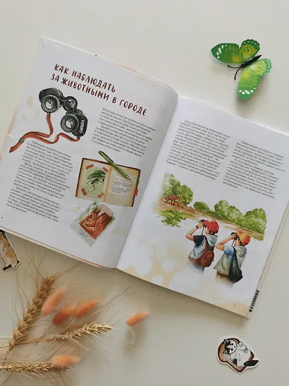 Животные в городе. Где найти и как узнать - фото 10