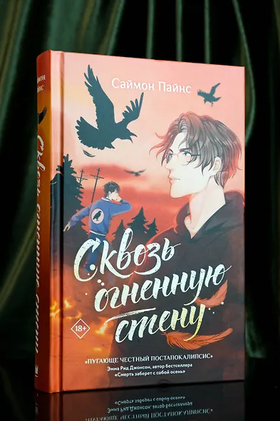 Сквозь огненную стену - фото 6