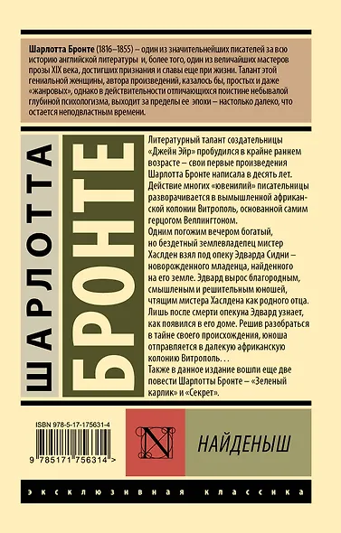 Найденыш - фото 2