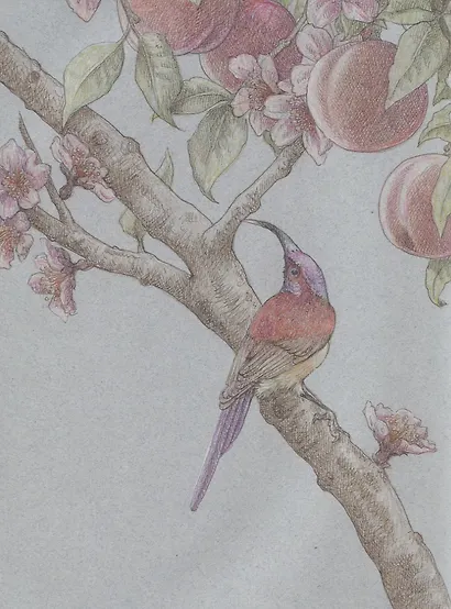 Персиковый лес - фото 3