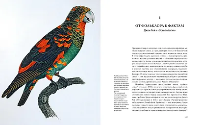 Иллюстрированная история орнитологии - фото 4