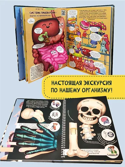 Знакомься: твое тело - фото 5