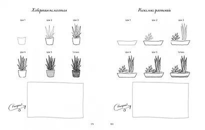 Цветы и листья по линиям. 200 ботанических сюжетов для вдохновения - фото 7