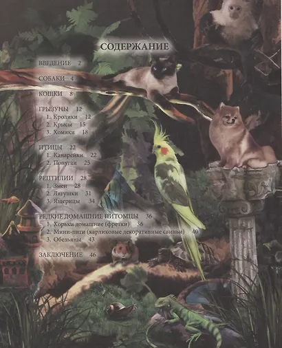 Домашние питомцы. Энциклопедия - фото 6