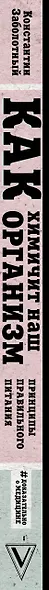 Как химичит наш организм: принципы правильного питания - фото 9