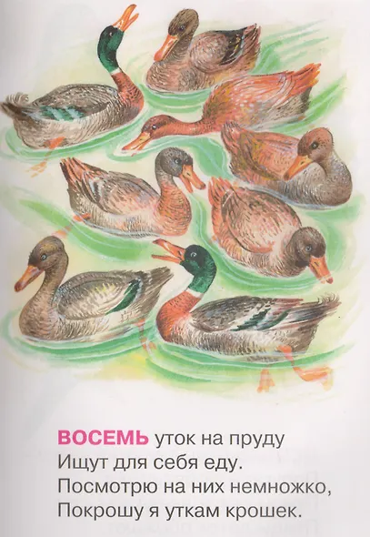 Всёлый счет - фото 5