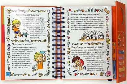 Как всё устроено? (энциклопедия на пружине) - фото 4