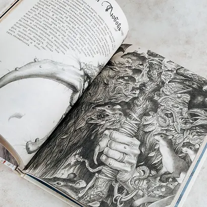 Волшебная вселенная Оливье Ледруа - фото 12