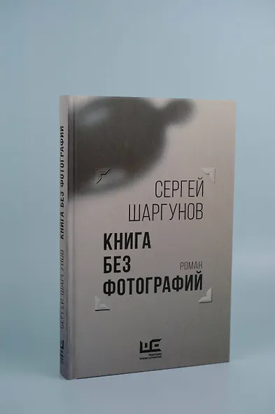 Книга без фотографий - фото 6