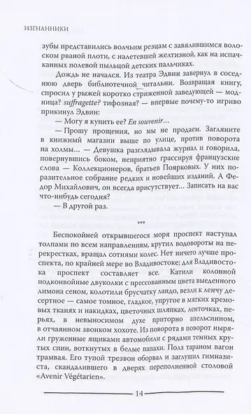 Изгнанники. Повесть о гражданской войне - фото 5