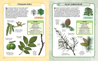 Деревья - фото 8