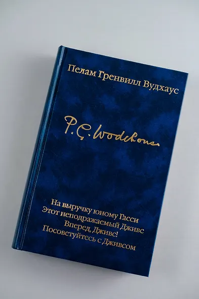 На выручку юному Гасси. Этот неподражаемый Дживс. Вперед, Дживс! Посоветуйтесь с Дживсом - фото 7
