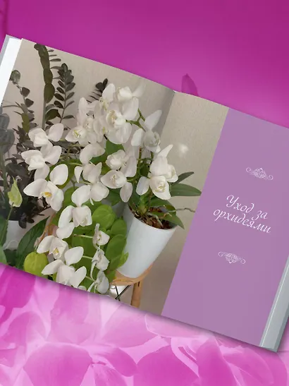 Великолепные орхидеи. Практичное руководство по уходу для начинающих - фото 11