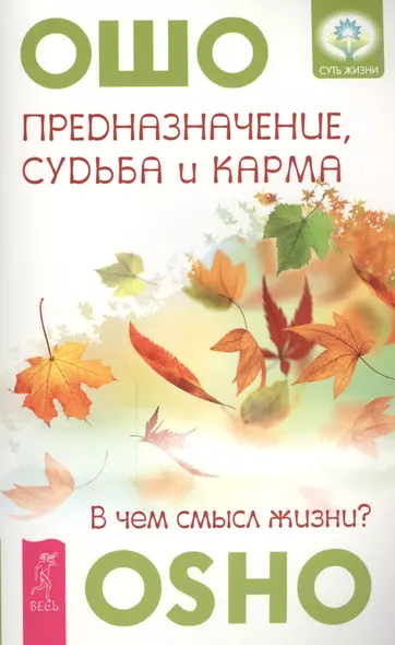 Предназначение, судьба  и карма. В чем смысл жизни? - фото 1