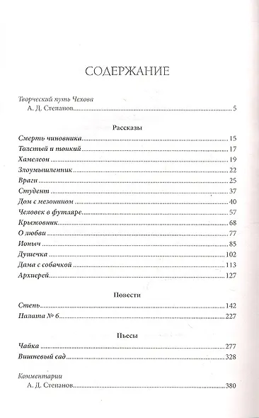 Дама с собачкой - фото 4