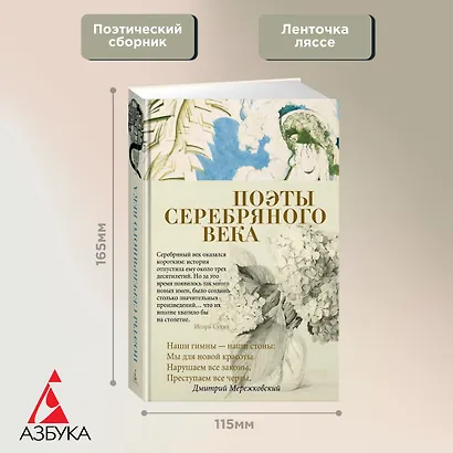 Поэты Серебряного века - фото 3