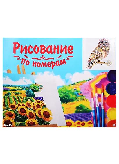 Набор д/творчества Рыжий кот Холст с красками 40х50см по номерам (в коробке) (22цв.) Сова и ключ Х-2983 - фото 2