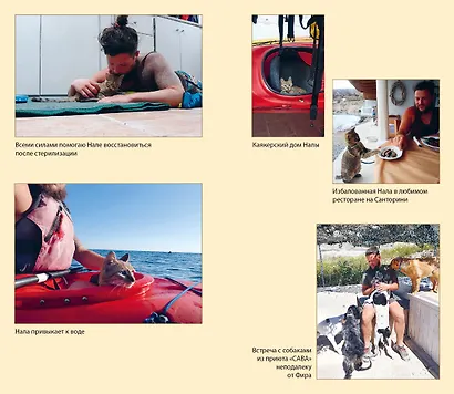 Мир Налы - фото 5