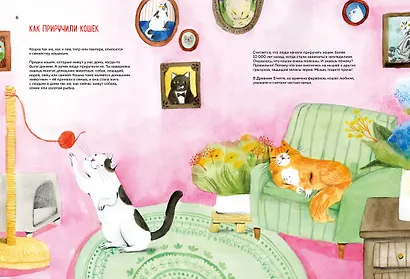 Невероятные коты. Всё, что нужно знать о любимых питомцах - фото 13