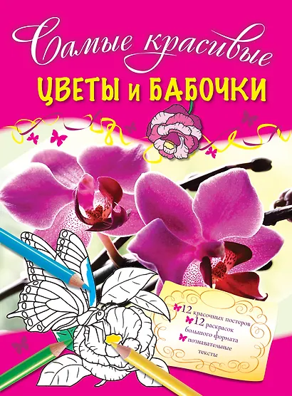 Цветы и бабочки - фото 1