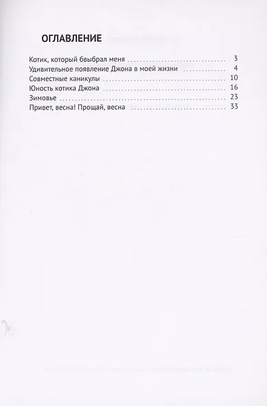 Котик, который выбрал меня - фото 2