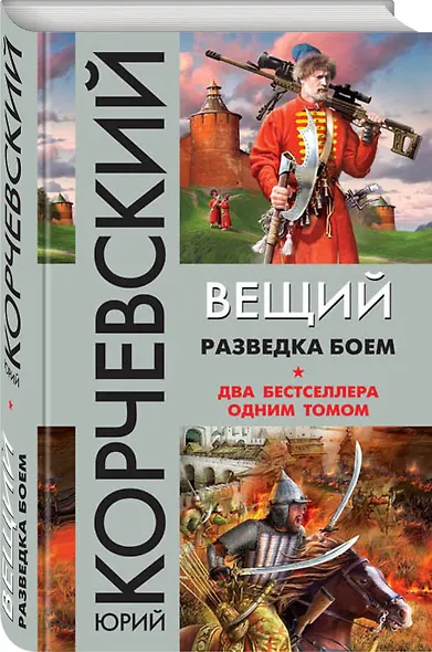 Вещий. Разведка боем - фото 3