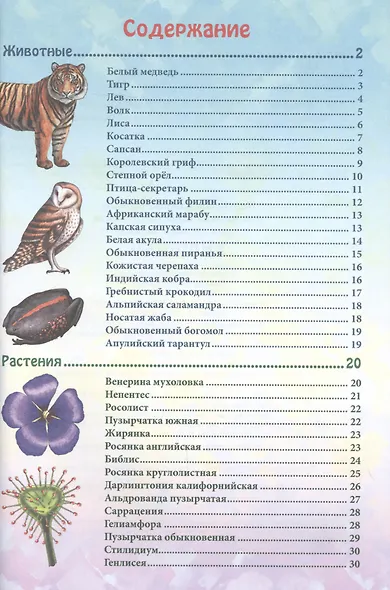 ЭНЦИКЛОПЕДИЯ. В МИРЕ ЗНАНИЙ. ХИЩНИКИ - фото 2